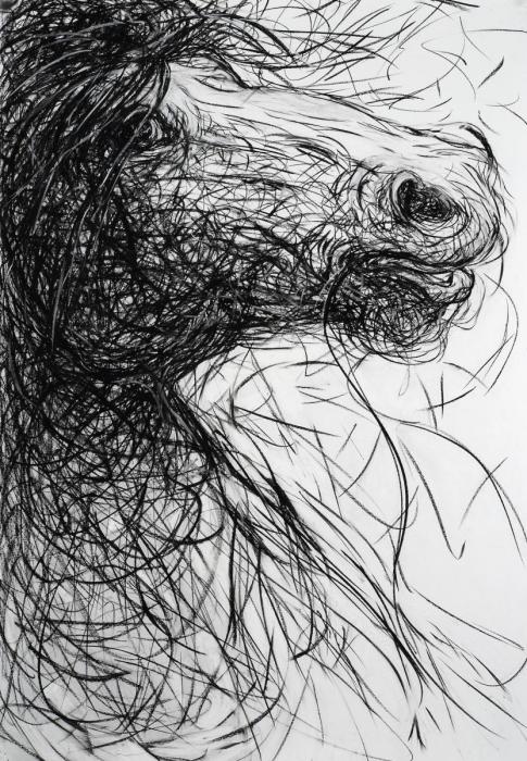 artwork by Alysa Bennett