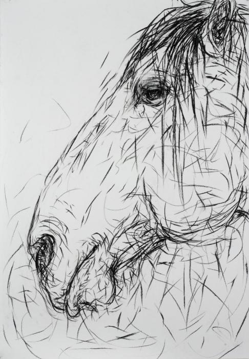 artwork by Alysa Bennett